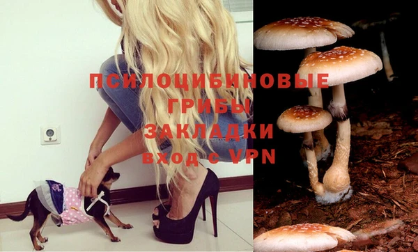 прущая мука Кинешма